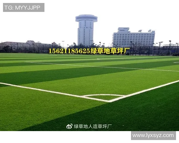 五人制足球场建设成本分析及投资回报评估探讨 五人制足球场建设成本分析及投资回报评估探讨
